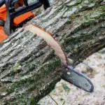 Chainsaw cutting through a moss-covered log