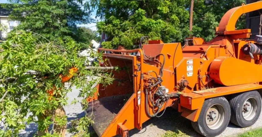 Orange wood chipper beside a pile of leafy cut branches
