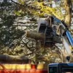 Grapple crane lifting a log section into a red dump truck